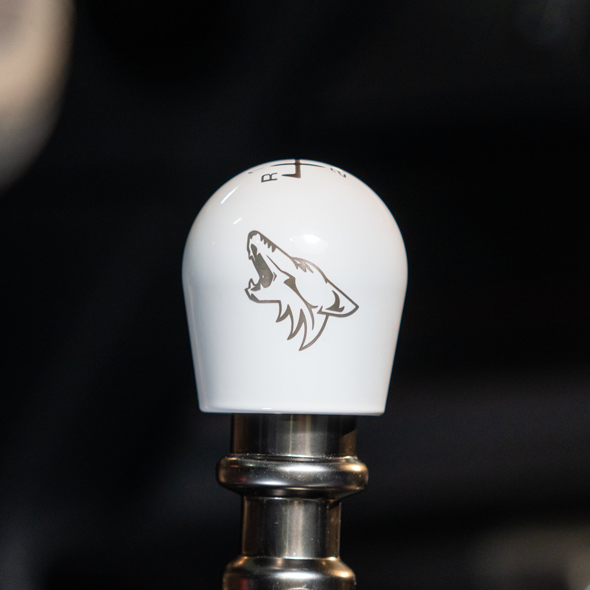 Billetworkz Weighted Shift Knob - 6 Speed Coyote Engraving - 2015+  Ford Mustang GT, EcoBoost, V6